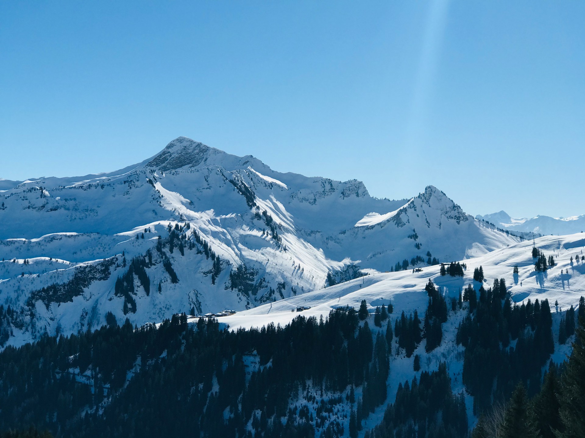 mujtaba-abbas-lu9Dp05Y68Y-unsplash